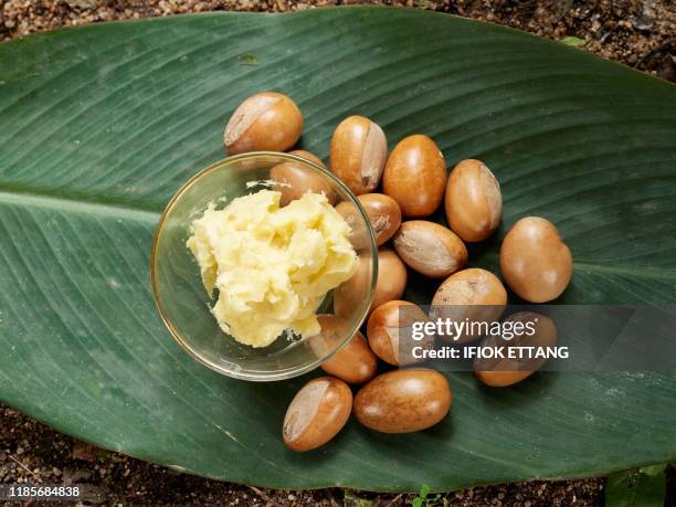 Shea butter and sheau nuts are displayed on a green leaf in Jos on September 15, 2019. - Shea nuts grow abundantly in Nigeria. Shea butter is...