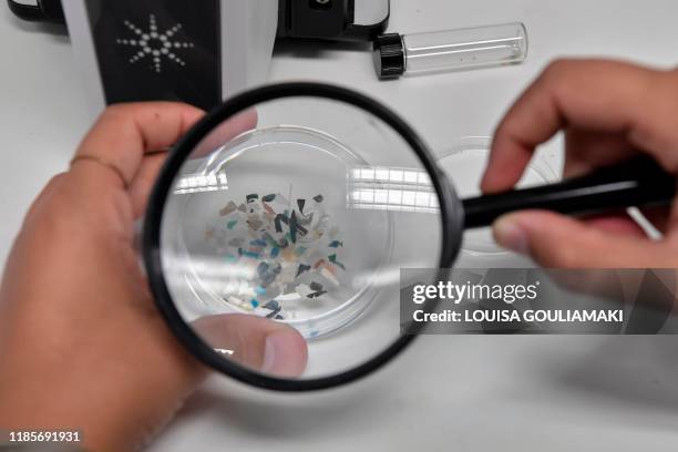 Biologist looks at microplastics found in sea species at the Hellenic Centre for Marine Research near Athens, on November 26, 2019. - "Marine litter...