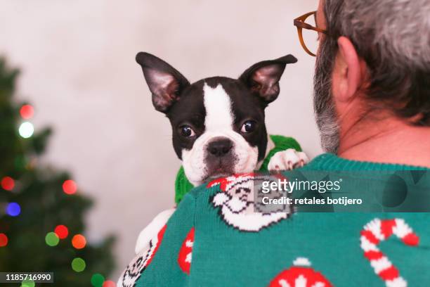 puppy looking over man's shoulder - dog looking over shoulder stock pictures, royalty-free photos & images