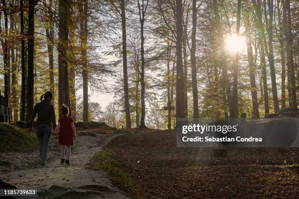 family discussions about history on the alley of the fortress sarmizegetusa regia, sunlight dawn in romania, europe. - sarmizegetusa regia stock pictures, royalty-free photos & images