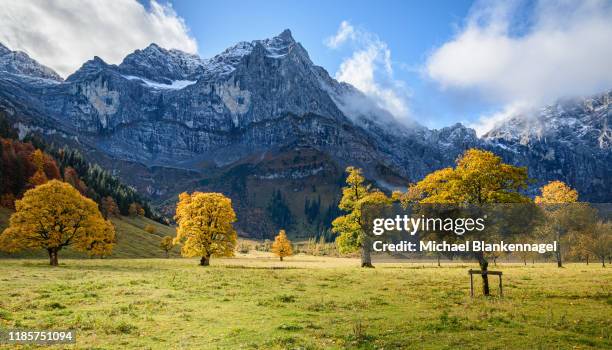 herbst im ahornboden - karwendelgebirge - alpen - - ahorn stock-fotos und bilder