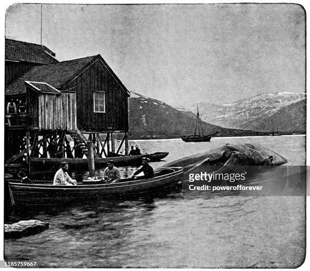 fischer, die einen wal in den hafen von tromso, norwegen schleppen - 19. jahrhundert - norwegen stock-grafiken, -clipart, -cartoons und -symbole