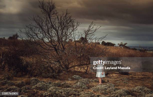 3 years girl in dry grass field - 2 3 years one girl only ストックフォトと画像