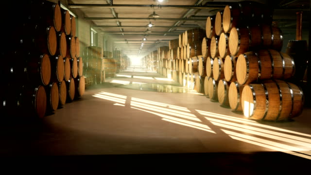 Warehouse with barrels for wine, whiskey or other alcohol. Barrels lying in several rows. Looped Animation.