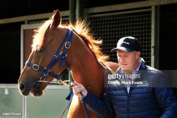 Trainer Danny O'Brien with Vow And Declare during the Melbourne Cup Winning media opportunity at Danny O'Brien Racing's Stables on November 06, 2019...