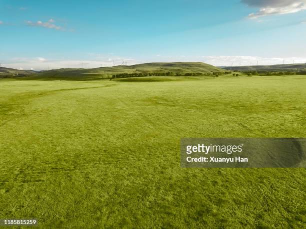 aerial view of green meadow under the clear sky - prateria campo foto e immagini stock