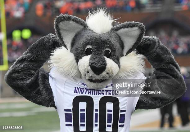 The Northwestern mascot as seen during a Big Ten Conference college football game between the Northwestern Wildcats and the IIllinois Fighting Illini...