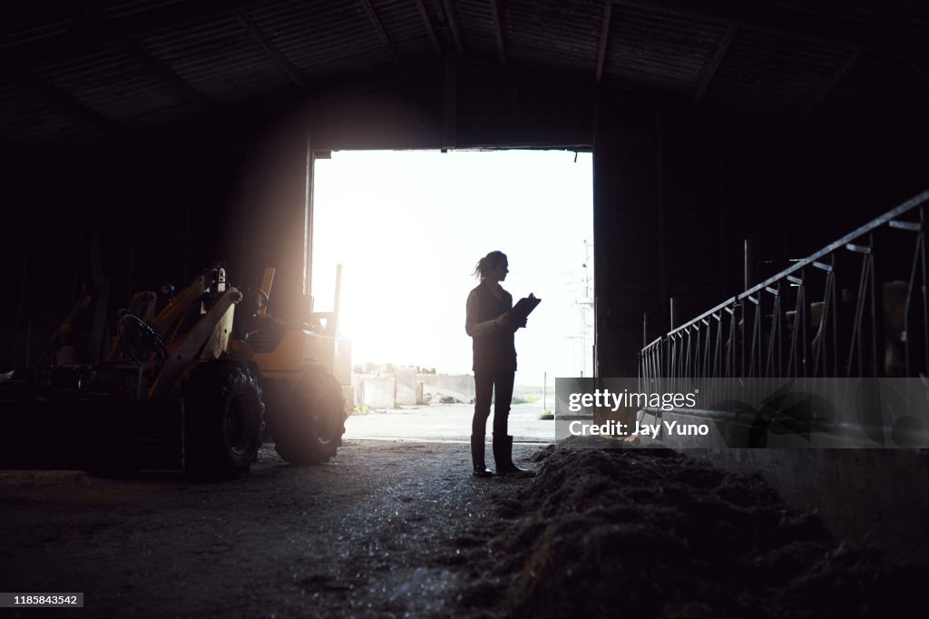 Early morning rounds on the farm