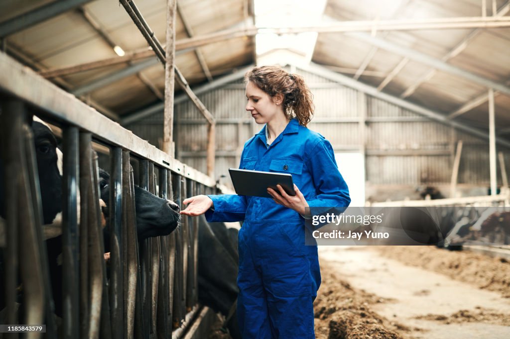 Los agricultores lo hacen digitalmente en estos días