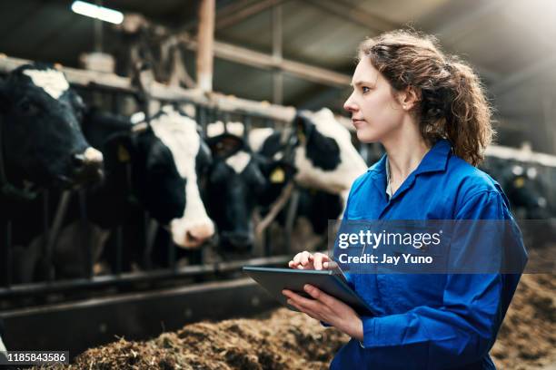 modern farming demands modern technology - dairy farm stock pictures, royalty-free photos & images