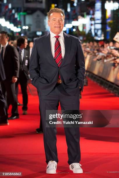 Arnold Schwarzenegger attends the Japan premiere of 'Terminator: Dark Fate' at Shinjuku Kabuki-cho Godzilla Road on November 06, 2019 in Tokyo, Japan.