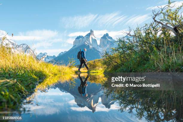 one man crossing a pond in torres del paine national park, chile - chile stock-fotos und bilder