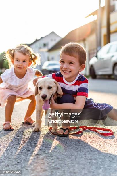 ¡somos los mejores amigos! - labrador retriever fotografías e imágenes de stock