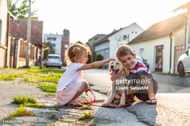 we are best friends! - boy with dog stock pictures, royalty-free photos & images