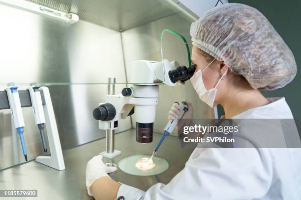 de embryoloog werkt met menselijke cellen. - human egg stockfoto's en -beelden