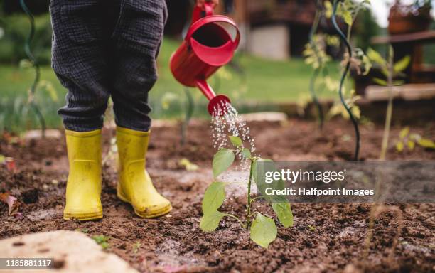 a midsection of cute small child outdoors gardening. - laarzen geel stockfoto's en -beelden