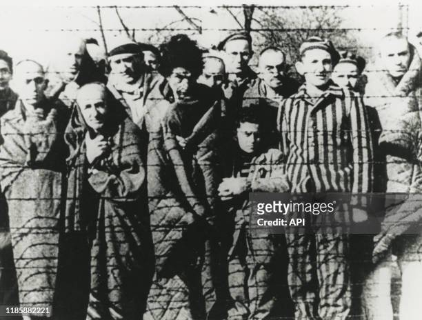 Détenus du camp de concentration d'Auschwitz lors de l'arrivée de l'armée soviétique, en 1944, Pologne.