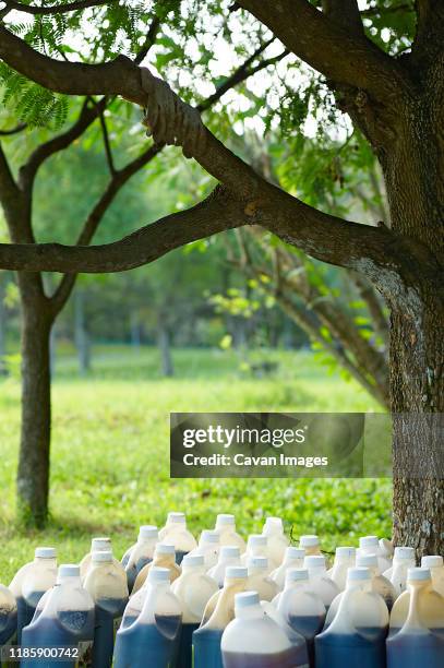 discarded waste bottles from drug products left under a tree in nature - garbage dump stock pictures, royalty-free photos & images