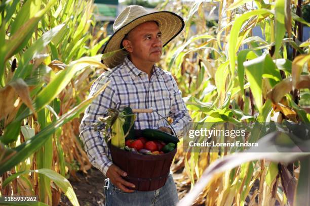 latinx culture and heritage in the garden - farm workers california bildbanksfoton och bilder