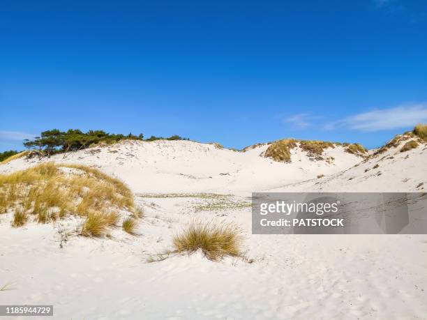 sand dunes in dueodde, bornholm island, denmark - bornholm stock pictures, royalty-free photos & images
