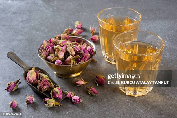 Pink Tea Rsose Pink Tea Rose Photos and Premium High Res Pictures - Getty Images