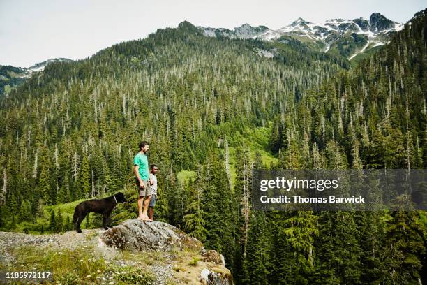 father and son standing at mountain lookout enjoying view - family greenery bildbanksfoton och bilder