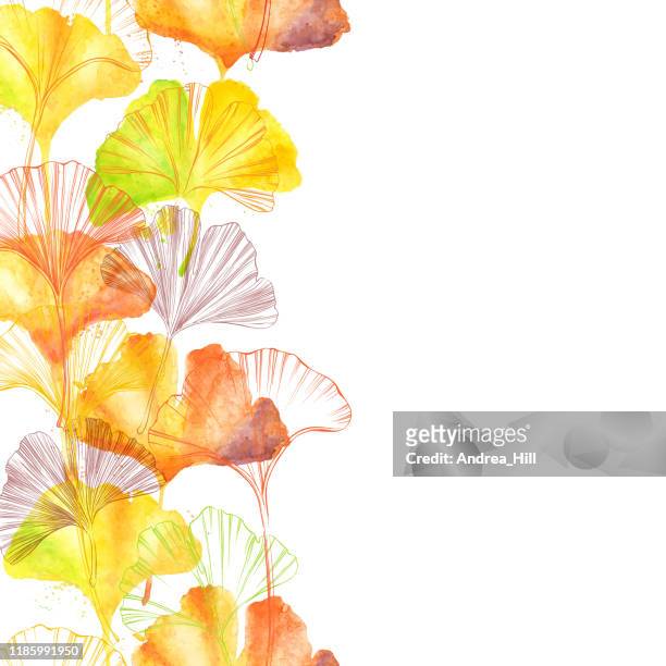 gingko leaf ink border and watercolor seamless pattern - vector illustration - ginkgo stock illustrations
