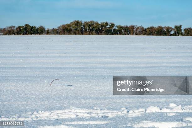 winter rural snow scene, field covered in snow in bright sunshine and a blue sky - south east england stock pictures, royalty-free photos & images