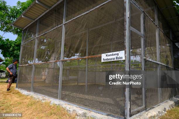 Batui Banggai Regency Photos and Premium High Res Pictures - Getty Images