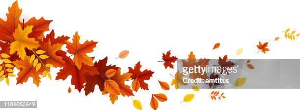 herbstblätter welle - autumn leaf color stock-grafiken, -clipart, -cartoons und -symbole
