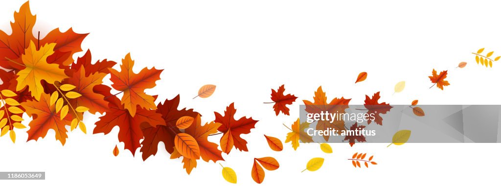 Autumn leaves wave