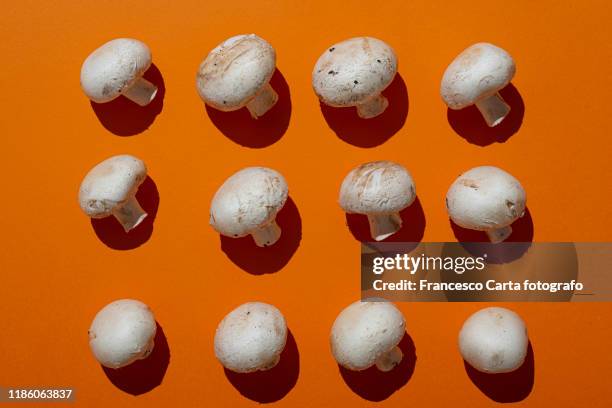 champignon mushroom - edible mushroom stock pictures, royalty-free photos & images