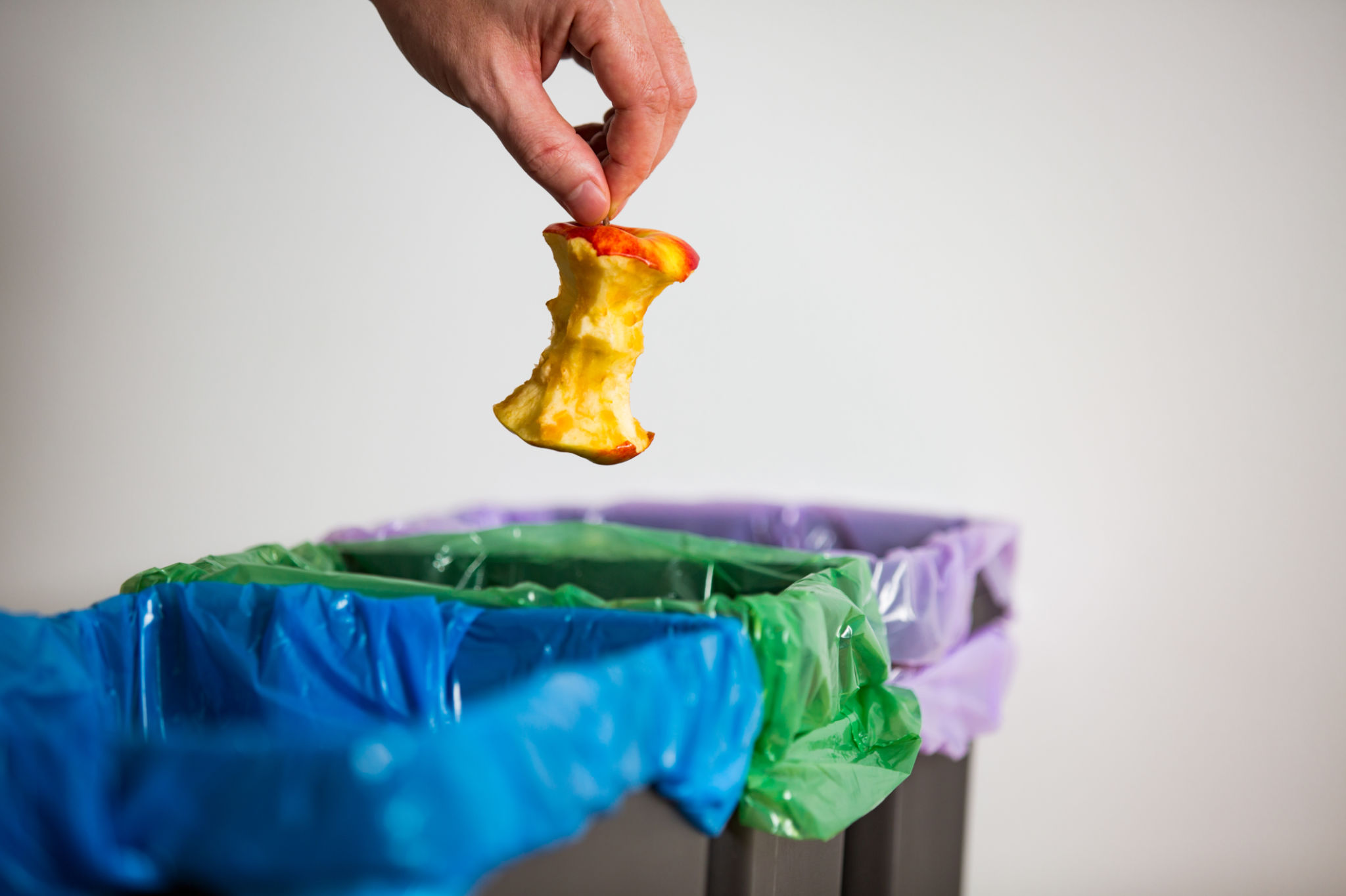 composting process
