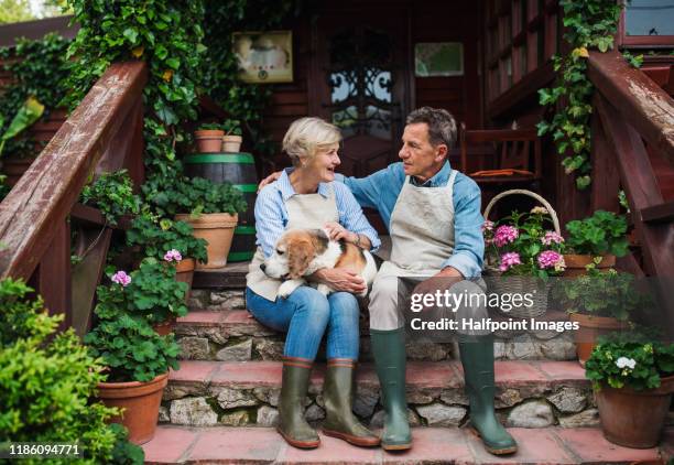 senior couple with a dog sitting outdoors on farm, resting. - farm wife stock pictures, royalty-free photos & images