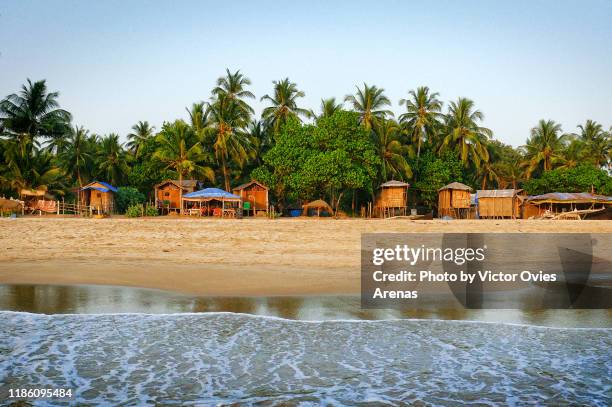 huts and coconut palms on galgibaga/turtle beach, colva, goa, india - goa - fotografias e filmes do acervo