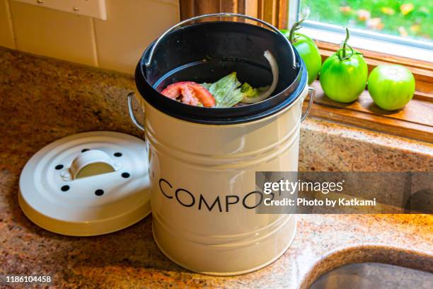 compost bin with lettuce, tomato and onion in it - compost bin stock pictures, royalty-free photos & images