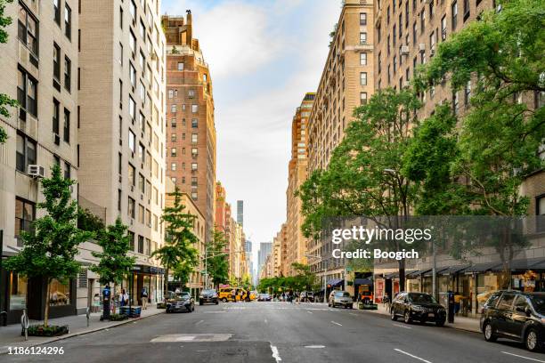 nyc city street with green trees in manhattan - park avenue stock pictures, royalty-free photos & images