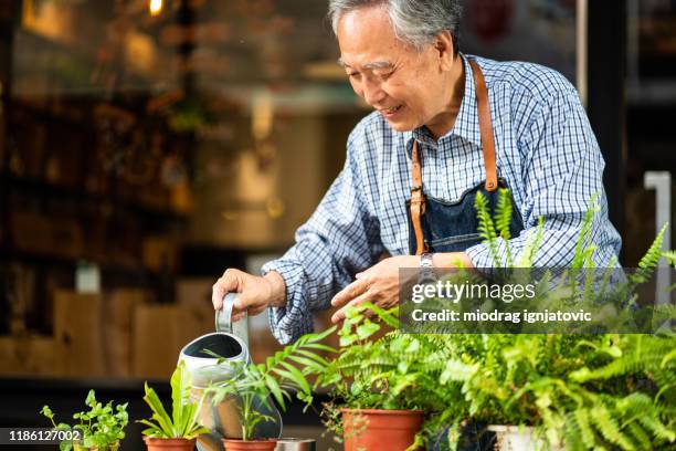 asian senior man taking care of plants - senior adult gardening stock pictures, royalty-free photos & images