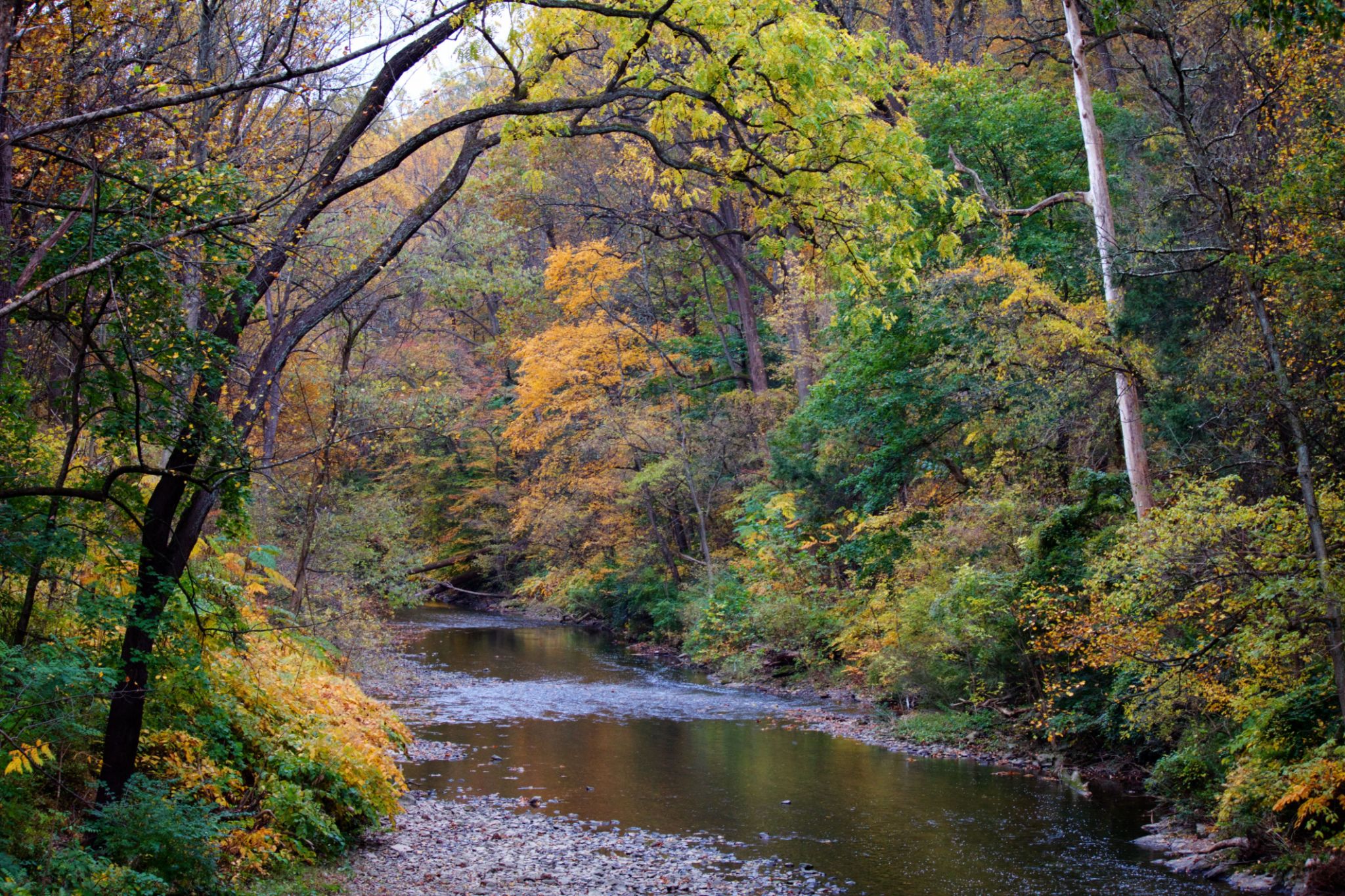 Wissahickon Park