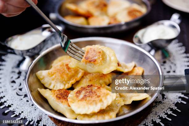 eating traditional polish dumplings pierogi with fork - polnische kultur stock-fotos und bilder