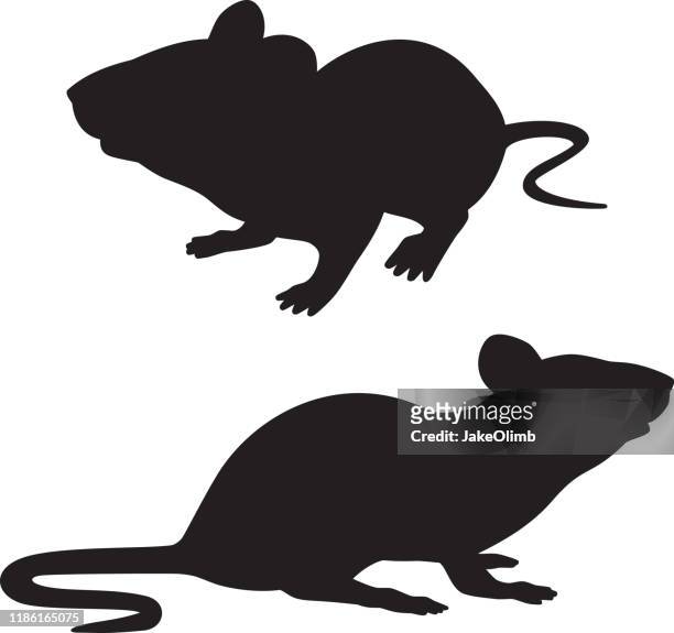 ilustraciones, imágenes clip art, dibujos animados e iconos de stock de siluetas de rata - rat