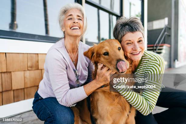 happy and healthy life of dog owners - gay seniors stock pictures, royalty-free photos & images