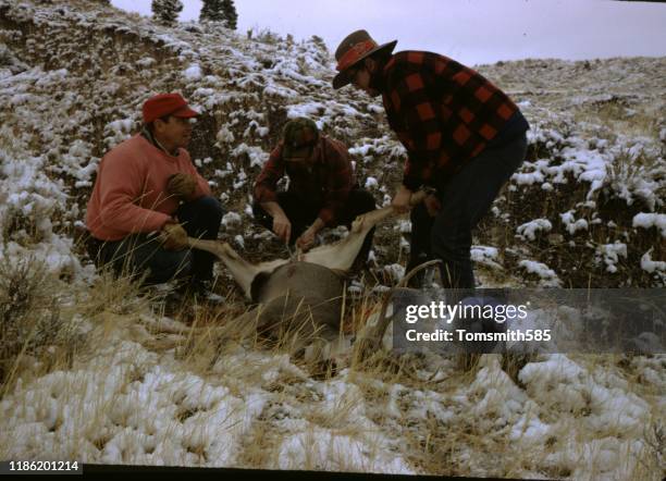hunters with trophy deer - deer snow stock pictures, royalty-free photos & images
