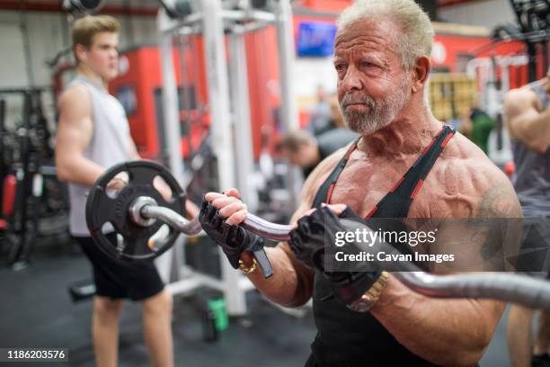 fit elderly man training his biceps at the gym. - bodybuilder flexing biceps stock pictures, royalty-free photos & images