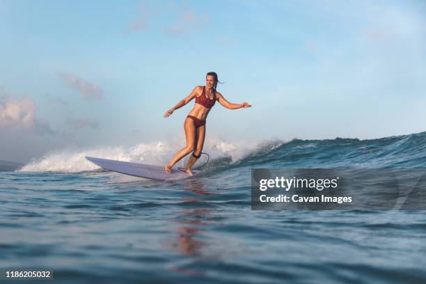 female surfer - woman surfing stock pictures, royalty-free photos & images