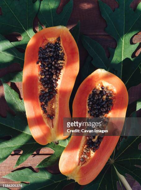 high angle view of papaya with leaves on wooden table - papaya stock-fotos und bilder