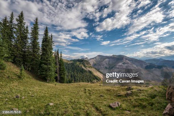 landscape in the uncompahgre wilderness - rocky mountains north america stock-fotos und bilder
