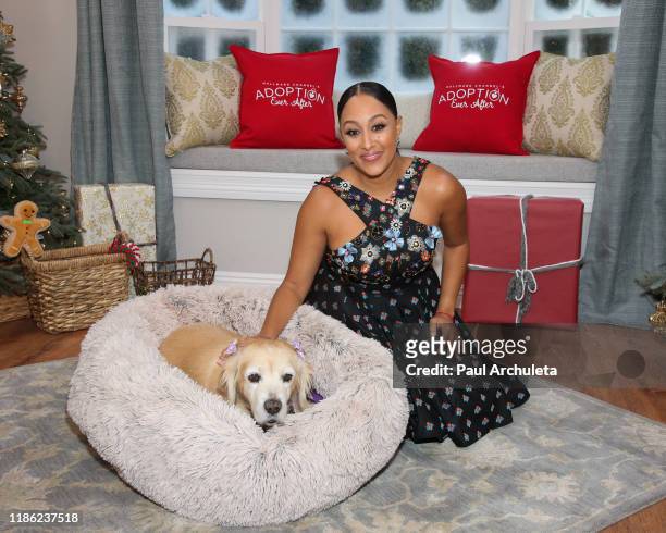 Actress Tamera Mowry-Housley visits Hallmark Channel's "Home & Family" at Universal Studios Hollywood on November 07, 2019 in Universal City,...