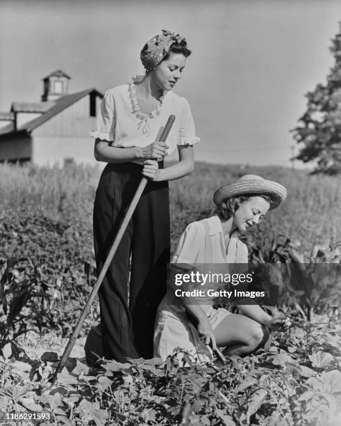 farm workers - archive farms stock-fotos und bilder