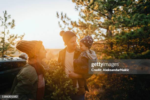 young family on a christmas tree farm - baby winter farm son stock pictures, royalty-free photos & images